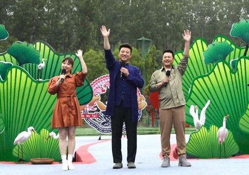 天涯最新爆料坠机案视频,坠机案最新视频曝光，真相渐浮水面  第1张