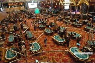 最新网红爆料网站澳门 第2张 最新网红爆料网站澳门 第2张